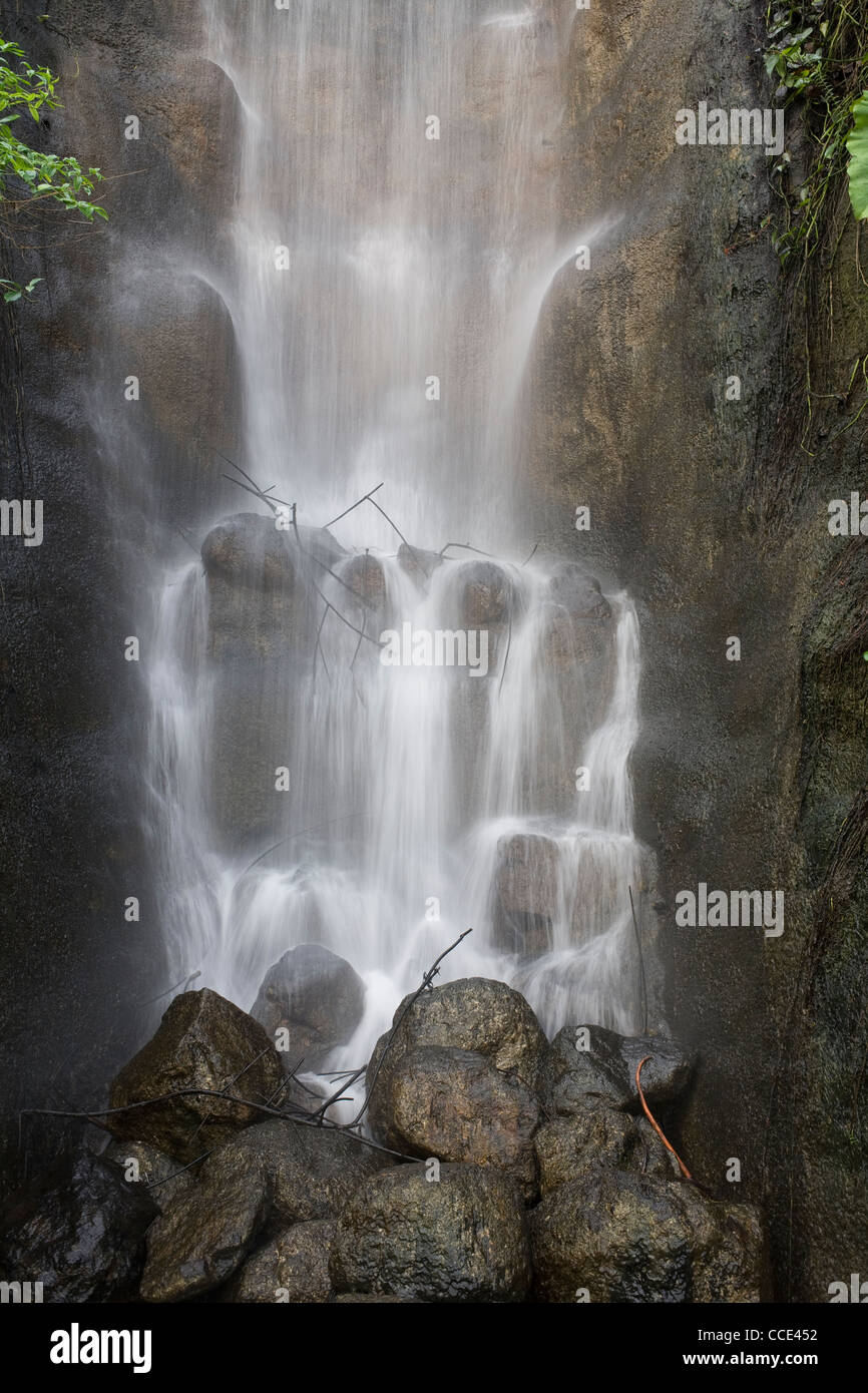 L'Eden Project à St Austell dispose d'un biome forêt tropicale qui inclut cette fonctionnalité de l'eau cascade sur les rochers en cascade Banque D'Images