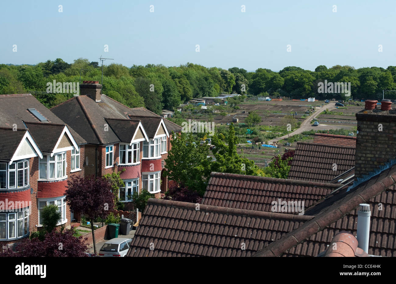 Vue générale des jardins ou des parcelles à Londres voir du toit d'une maison. Banque D'Images