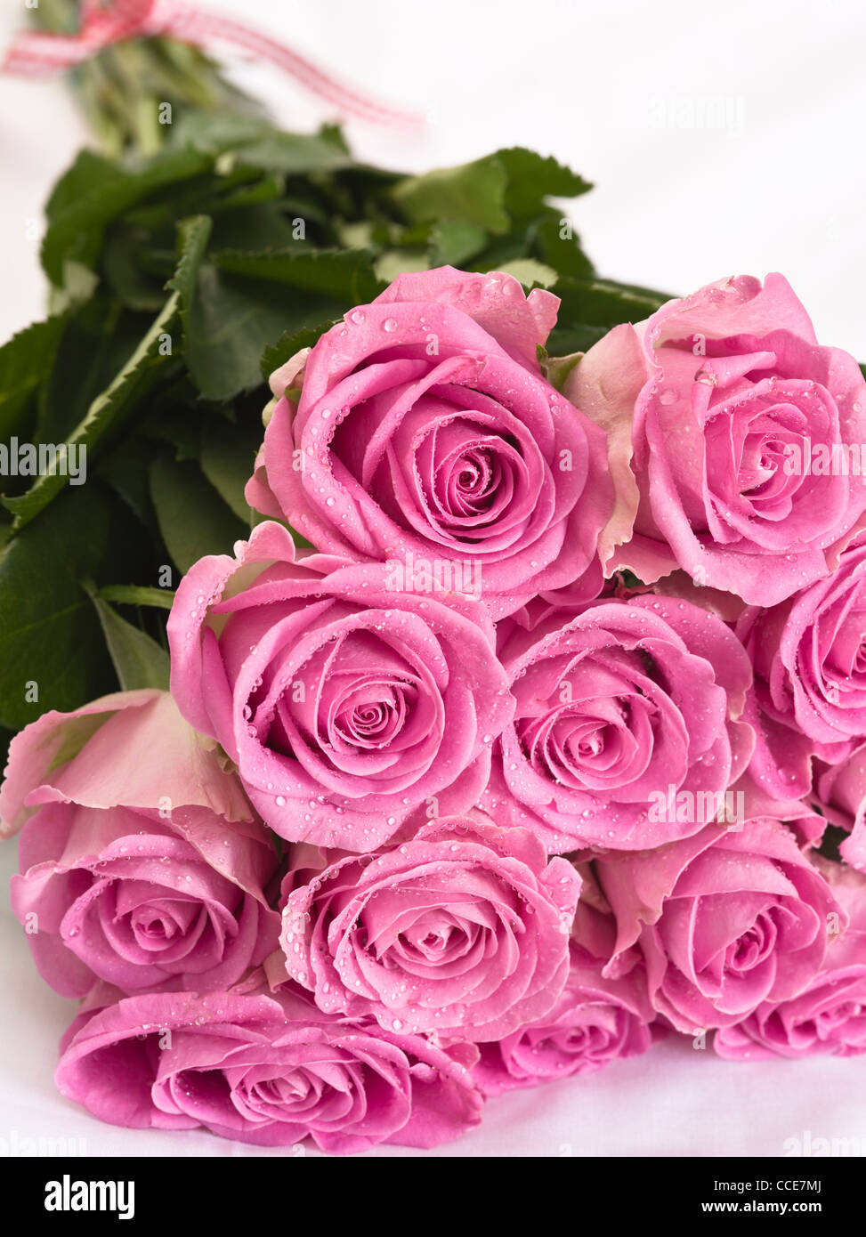 Bouquet de roses roses, selective focus Banque D'Images