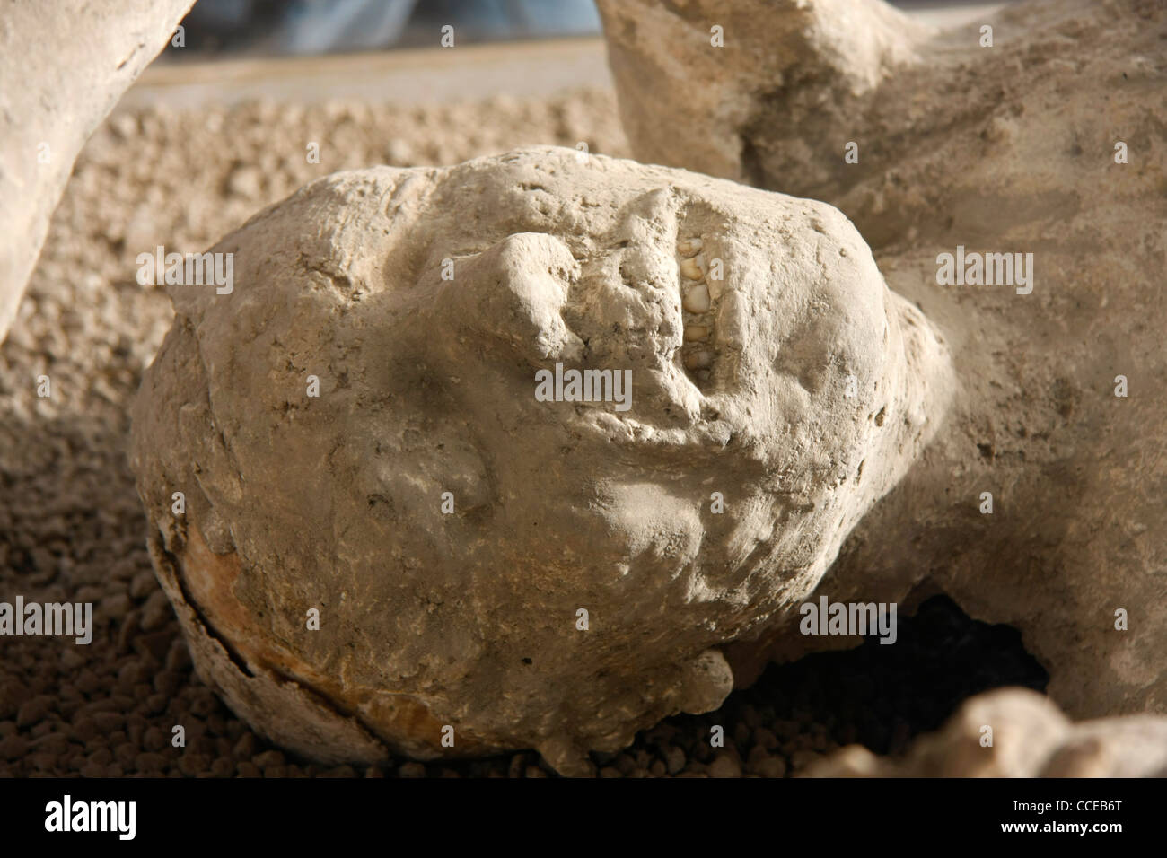 Victime de l'éruption du Vésuve Pompéi de cendres volcaniques près de Naples, Campanie Italie Europe. Banque D'Images