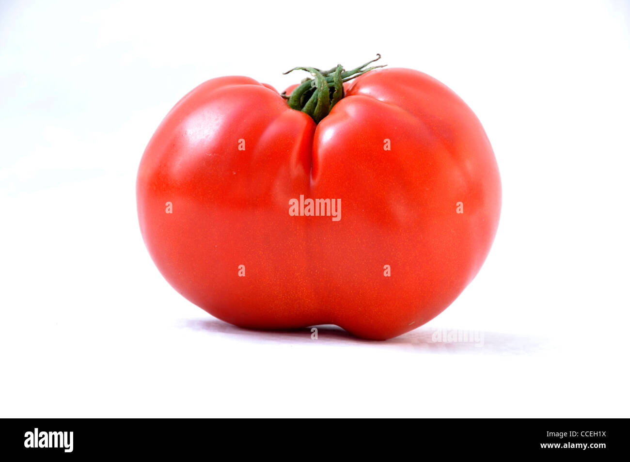 Une tomate (variété : Marmande) Gros plan sur un fonds blanc. Banque D'Images