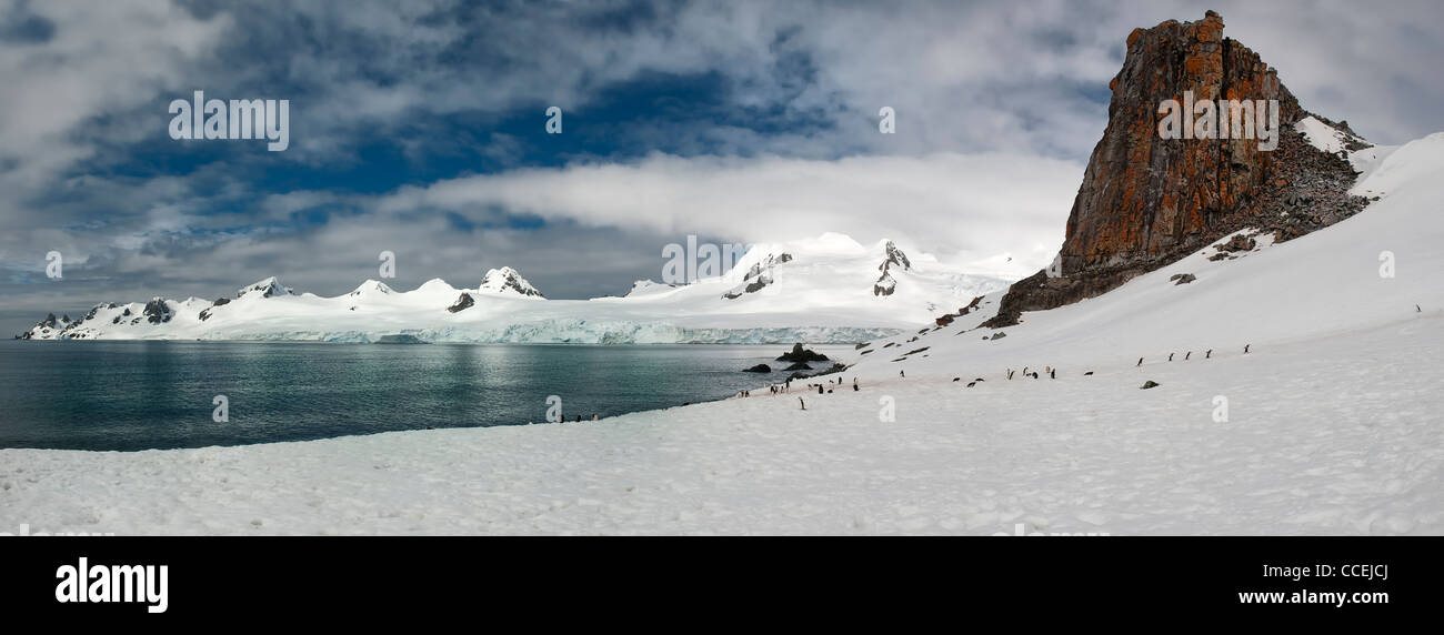 Half Moon Island, Îles Shetland du Sud, Péninsule Antarctique Banque D'Images