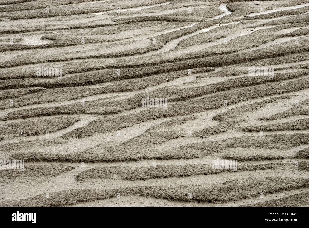 Exposés des vasières à marée basse sur la Tamise à Tilbury, Essex, Angleterre, RU Banque D'Images