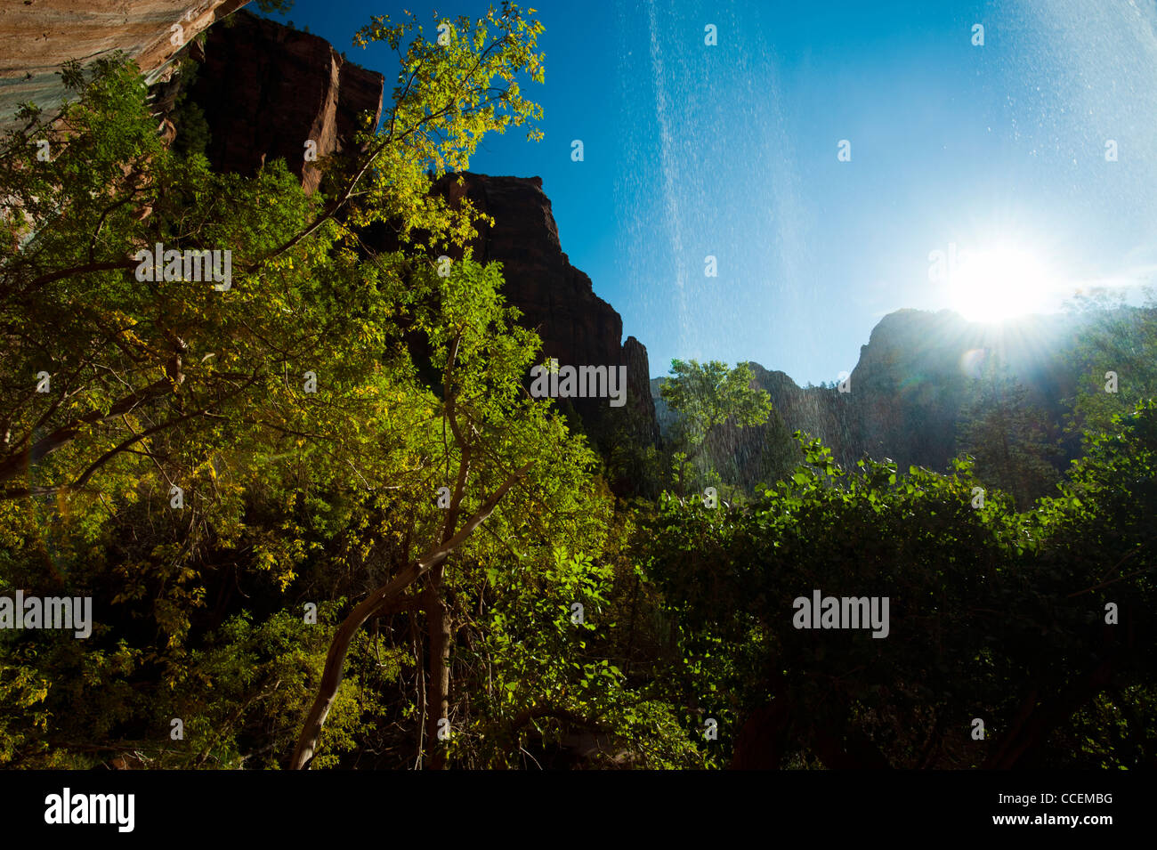 Une vue de derrière une cascade par rétro-éclairé le soleil à Zion National Park, Utah. Banque D'Images