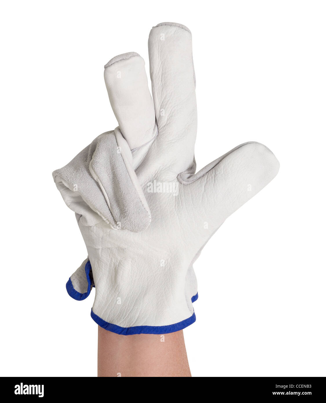 Part montrant 3 doigts gantés, gris clair avec un gant de travail.Studio tourné en blanc retour Banque D'Images