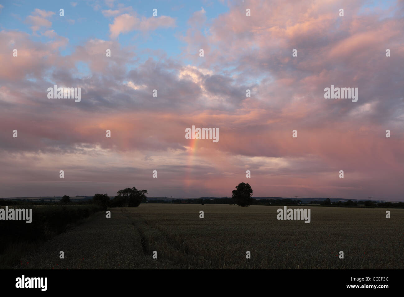 Arc-en-ciel d'été vu au coucher du soleil contre un ciel bleu Banque D'Images