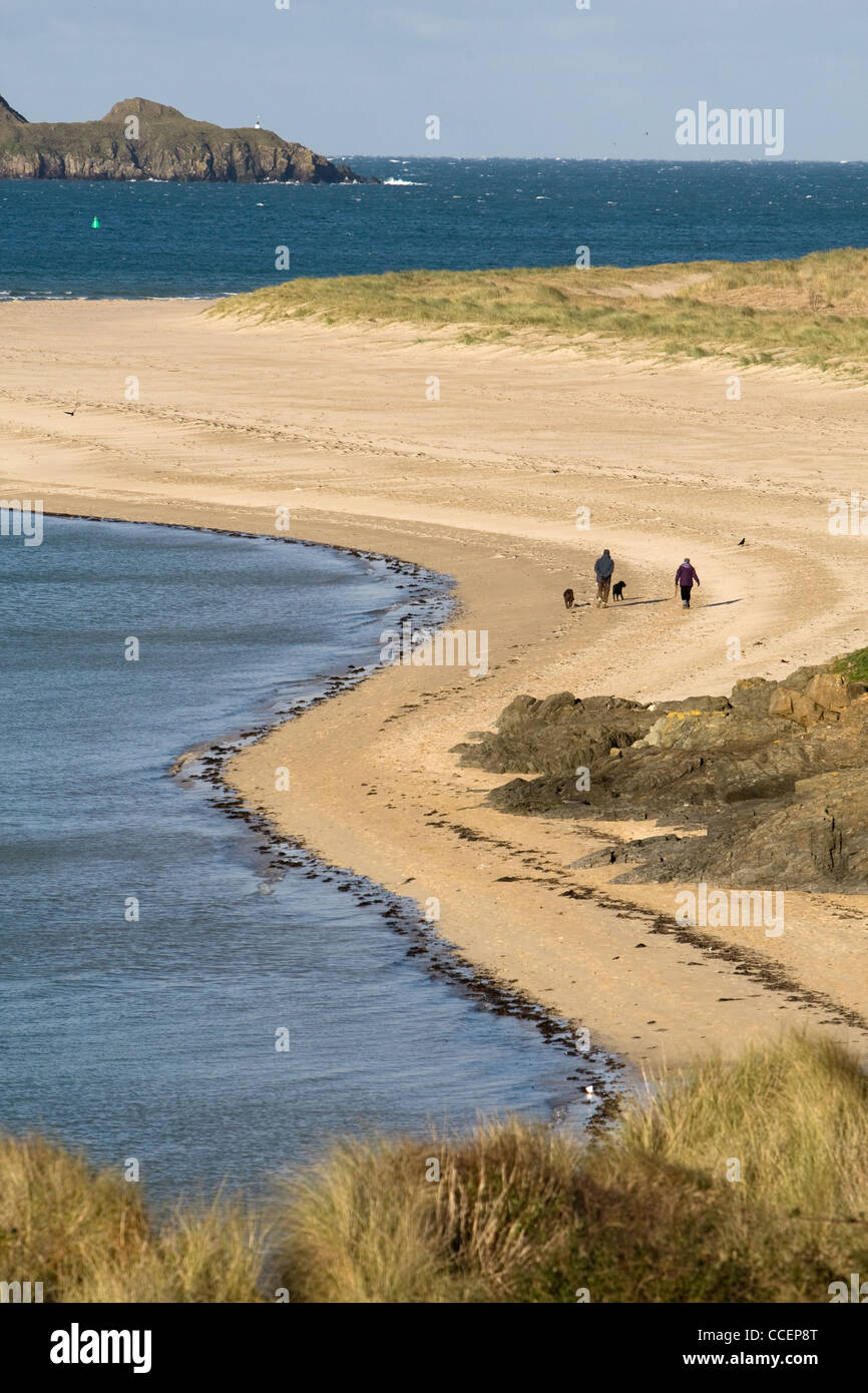 Une paire de promeneurs de chiens sur une plage près de Rock sur l'estuaire de Camel, Cornwall. Banque D'Images