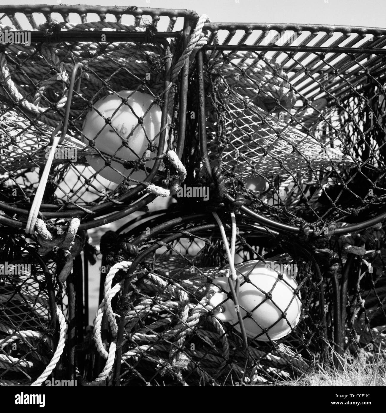 Des casiers à homard, à gauche sur un quai dans la côte nord d'Écosse, près de Thurso, UK Banque D'Images