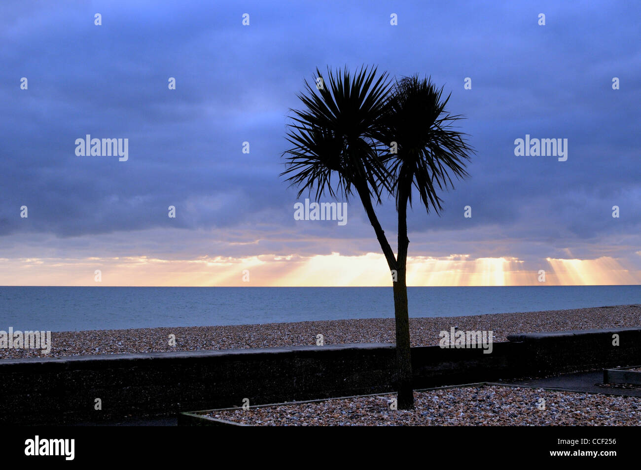 Seascape hiver vide ,Worthing Banque D'Images