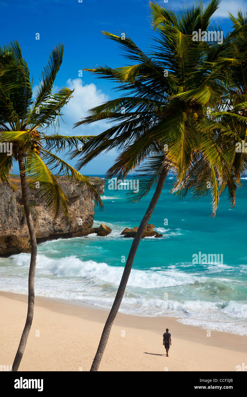 Homme seul promenades le long de la plage en bas de la baie sur la côte sud-est de la Barbade, Antilles Banque D'Images