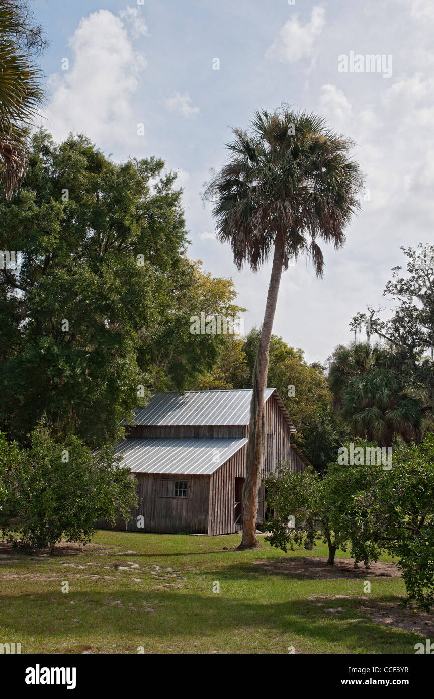 Marjorie Kinnan Rawlings Historic State Park, Cross Creek, en Floride. Ici montrant la grange. Banque D'Images