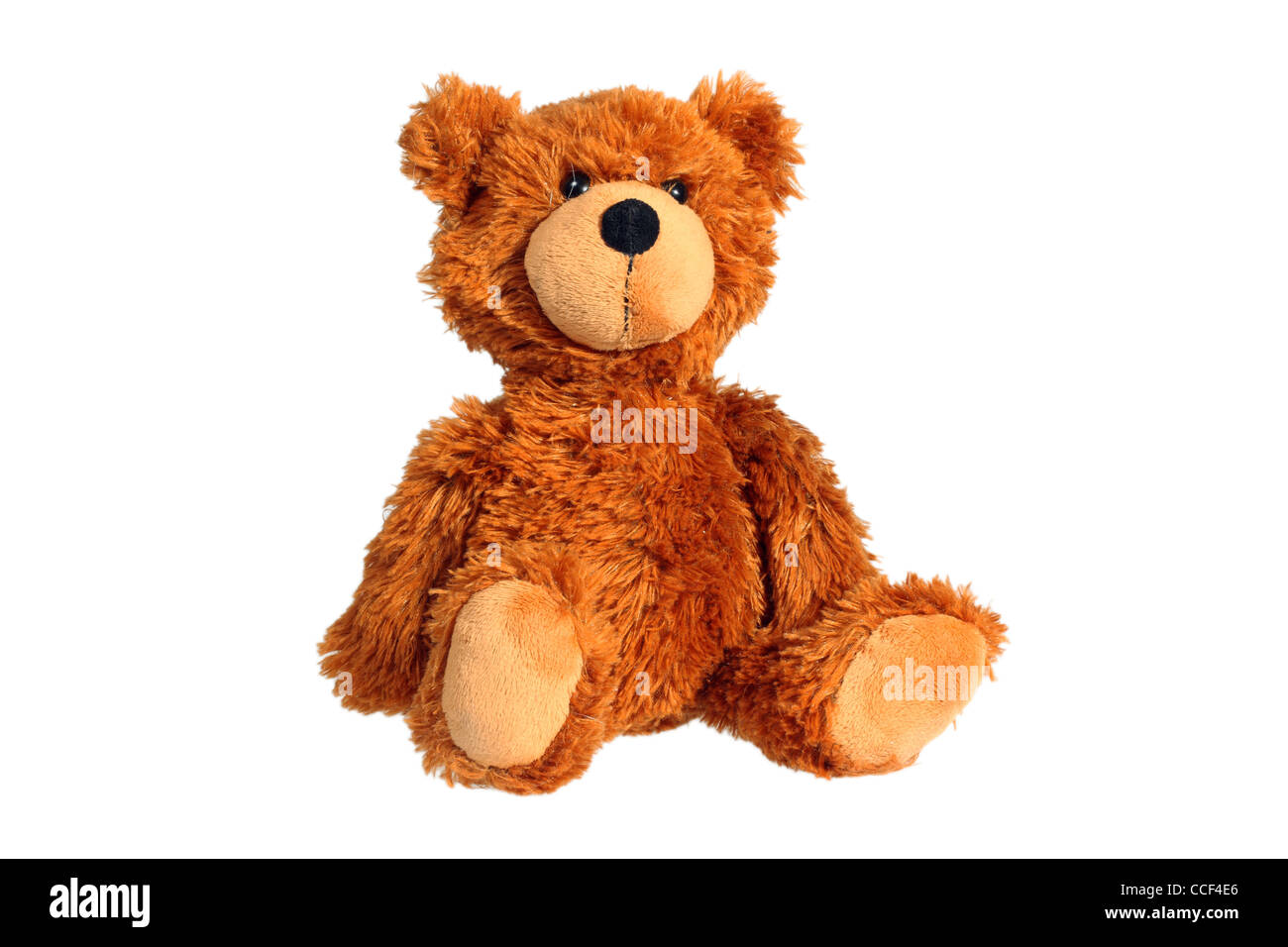 Ours en peluche Banque D'Images