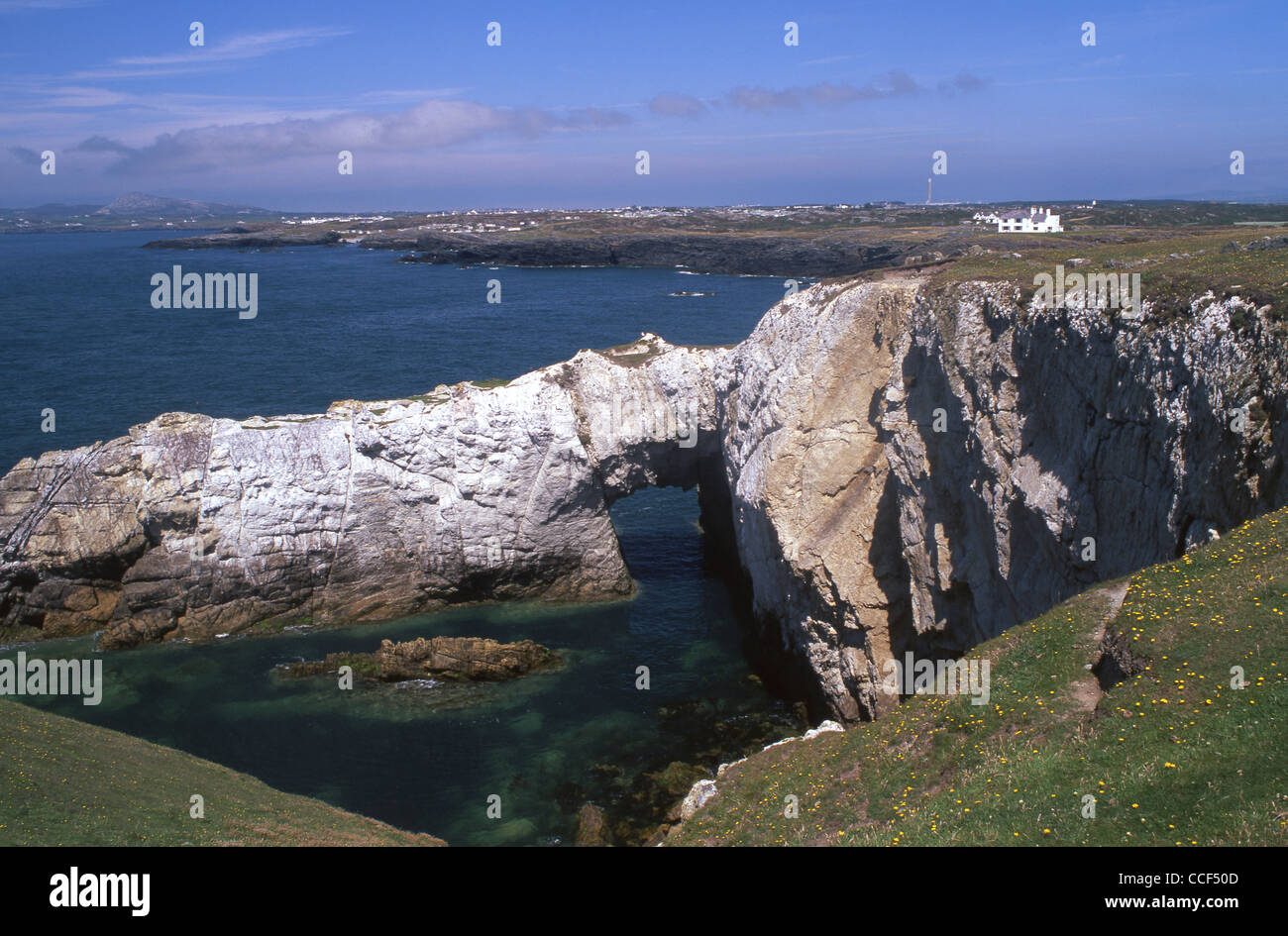 Bwa Gwyn (arche blanche) arch rock naturel sur l'Île Sainte de la côte près de Rhoscolyn Holyhead Mountain Anglesey au nord du Pays de Galles UK Banque D'Images
