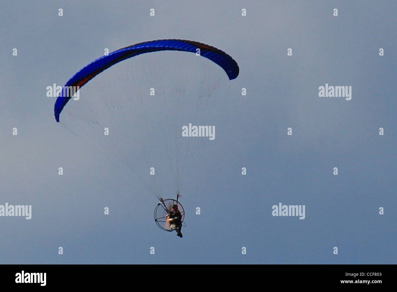 Homme parapente ou para-motoring in sky Banque D'Images