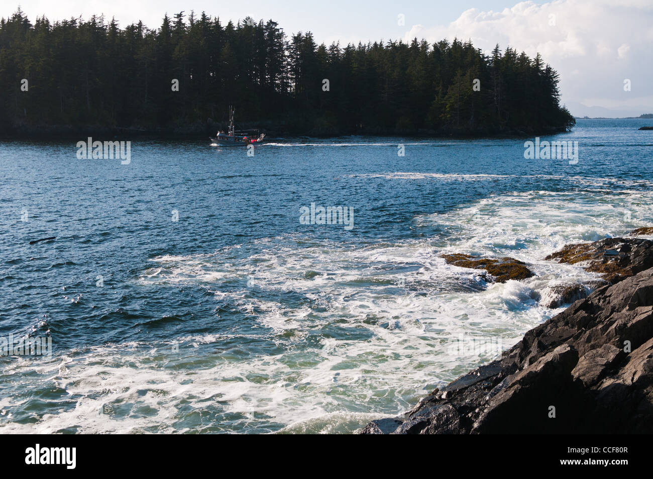 La côte de l'île de Bamdoroshni, Sitka, Alaska Banque D'Images