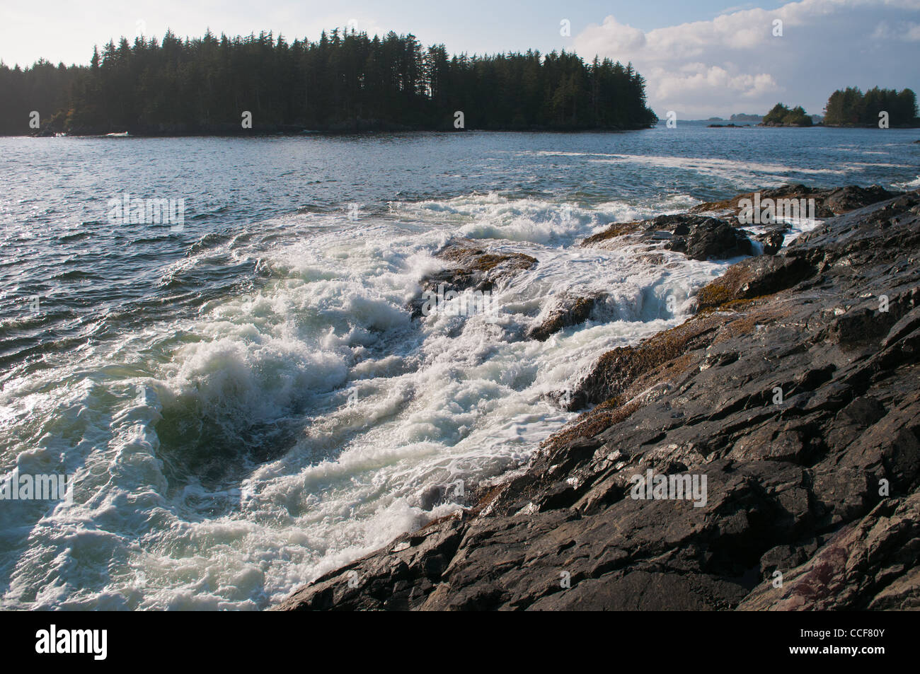 La côte de l'île de Bamdoroshni, Sitka, Alaska Banque D'Images