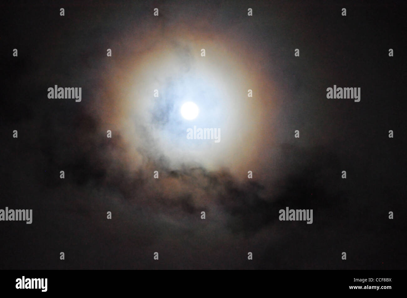 Lune, ciel, loup, scary Banque D'Images Lune, ciel, loup, scary Banque D'Images