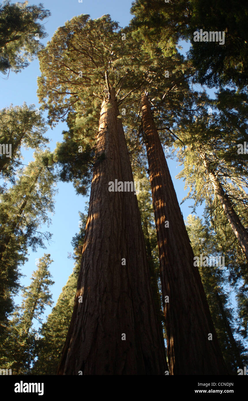 Sep 23 04 Kings Canyon Ca Usa Dans La Nature Sauvage Se Trouve L Espoir Du Monde Le Doux Frais Non Rembourses Unblighted Desert Citation De John Muir 18 1914 Fondateur Du