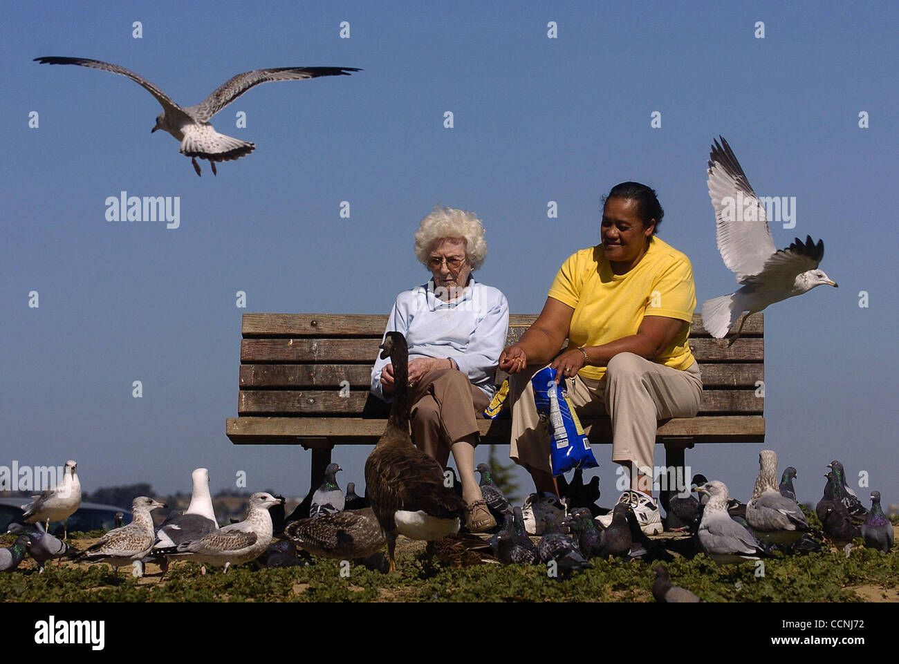 al fin te encontre josel y raul midi