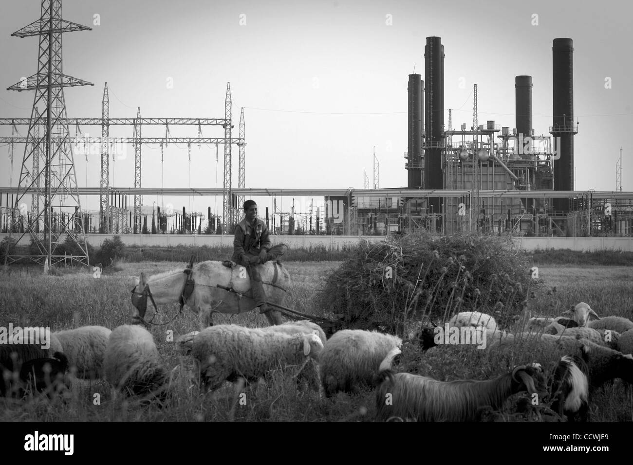 Apr 11, 2010 - La ville de Gaza, bande de Gaza - un garçon palestinien monte un âne comme il l'bergers de son troupeau près de la centrale électrique dans le centre de la bande de Gaza le 11 avril 2010. Plus de la moitié des maisons de Gaza n'ont pas l'électricité comme la seule centrale électrique dans l'enclave côtière a été arrêté vendredi en raison d'un manque Banque D'Images