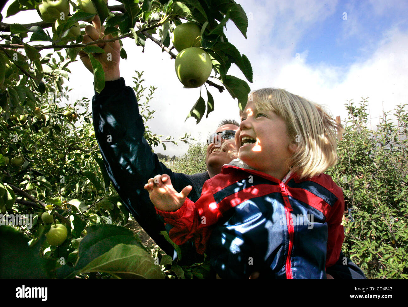 4 octobre 2008, Julian, CA, États-Unis d' CORY HENRY détient sa fille SADIE comme ils la cueillette des pommes à Raven Hill Orchards, ils vivent dans la Mesa pendant jours Apple Julien Credit : photo par Charlie Neuman, San Diego Union-Tribune/Zuma Press. copyright 2008 San Diego Union-Tribune Banque D'Images