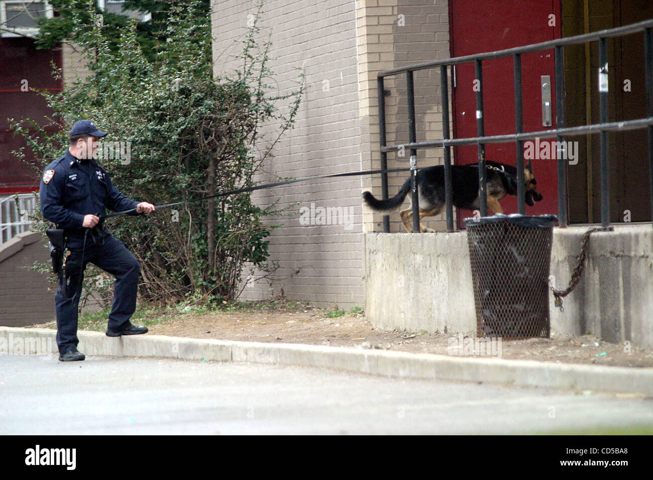 Mar. 27, 2008 - New York, New York, États-Unis - John Dewey H.S. à Brooklyn passe en isolement cellulaire lorsqu'un des spots d'enseignants un enfant avec un pistolet Police recherche l'école prix par prix - 2008 3-26-08 ..K56794B Ltée(Image Crédit : Â© Bruce Cotler/Photos/ZUMAPRESS.com) Globe Banque D'Images