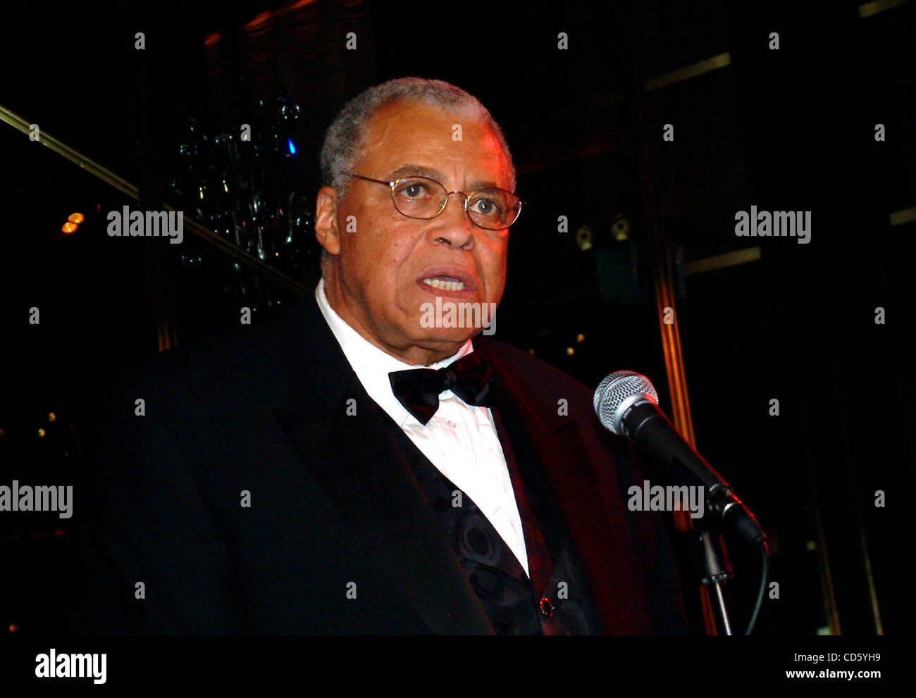 3 juin 2003 - New York, New York, États-Unis - K30980ML0603 SD.2003, PRATT LEGENDS.RAINBOW ROOM, NEW YORK New York.. / 2003.James Earl Jones(Image Crédit : Â© Mitchell Levy/Photos/ZUMAPRESS.com) Globe Banque D'Images
