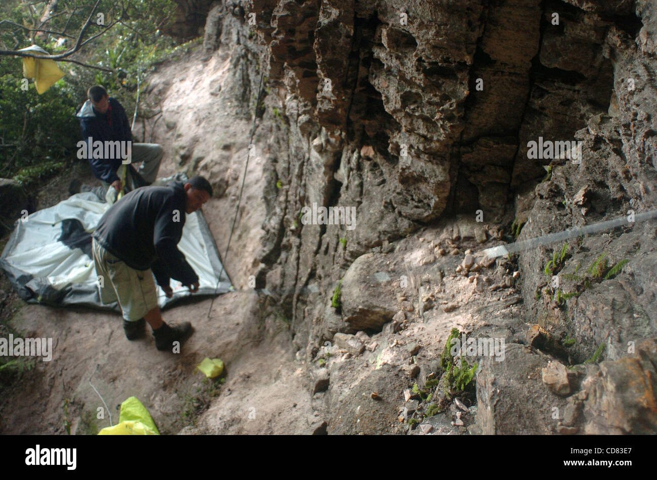 21 avr 2008 - Canaima, Venezuela - Cruz Jose Perez, droite, un porteur d'une agence de voyage, met en place une tente avec un touriste suédois à un "hôtel" sur le sommet du mont Roraima, un 2 810 mètres de haut situé à la montagne dans le sud du Venezuela. L 'Hôtels' sont en fait des formations rocheuses offrant un abri de rai Banque D'Images