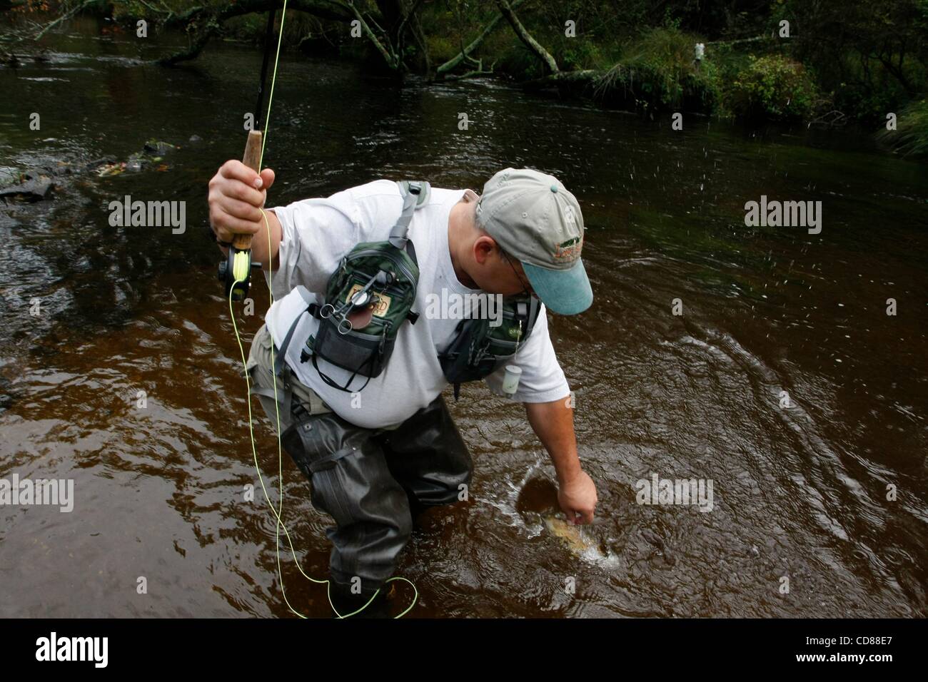 Sep 28, 2008 - Oakdale, New York, USA - un homme poissons à Connetquot State Park. La truite arc-en-ciel et brune vont de 9 pouces jusqu'à 15 livres alors que l'omble de fontaine s'accroîtra au cours de 5 livres. En septembre il y aura fonctionne de la truite arc-en-ciel et mer sur les frayères de l'omble de fontaine. Offre Février pour la pêche no-kill Banque D'Images