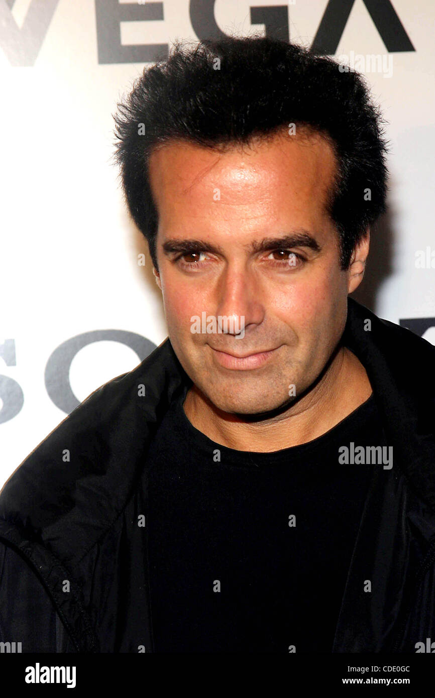 1 janvier, 2011 - New York, New York, États-Unis - K33999RM.SONY CÉLÈBRE LE CINQUIÈME ANNIVERSAIRE DE LA FD Trinitron® WEGA® PLAT ET DÉVOILE LE PLUS GRAND ÉCRAN PLAT HAUTE DÉFINITION À ÉCRAN LCD AU SPLASH LIGHT STUDIOS , NYC 11/06/2003. / DAVID COPPERFIELD(Image Crédit : Â© Rick Mackler/Globe Photos/ZUMAPRESS.com Banque D'Images