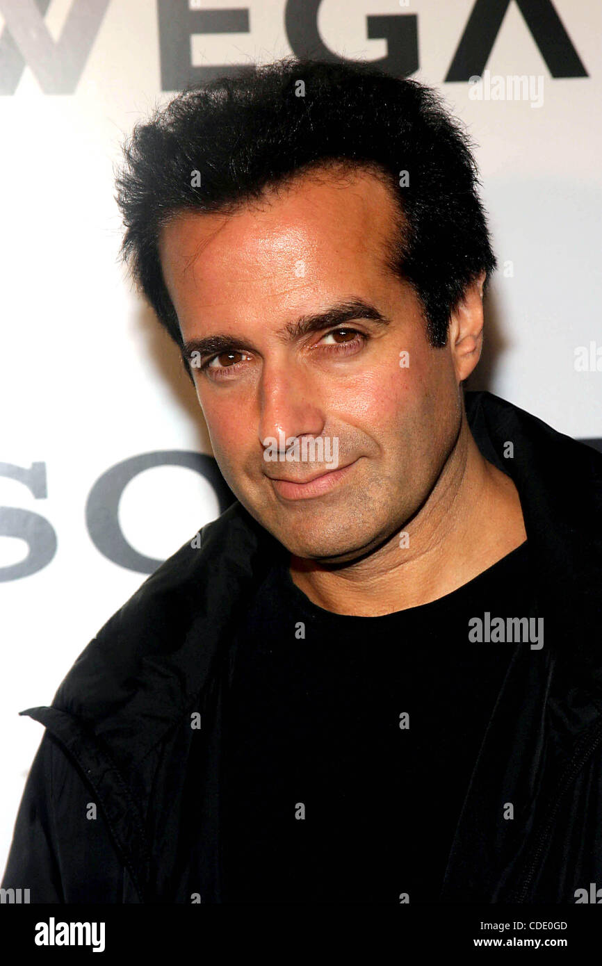 1 janvier, 2011 - New York, New York, États-Unis - K33999RM.SONY CÉLÈBRE LE CINQUIÈME ANNIVERSAIRE DE LA FD Trinitron® WEGA® PLAT ET DÉVOILE LE PLUS GRAND ÉCRAN PLAT HAUTE DÉFINITION À ÉCRAN LCD AU SPLASH LIGHT STUDIOS , NYC 11/06/2003. / DAVID COPPERFIELD(Image Crédit : Â© Rick Mackler/Globe Photos/ZUMAPRESS.com Banque D'Images