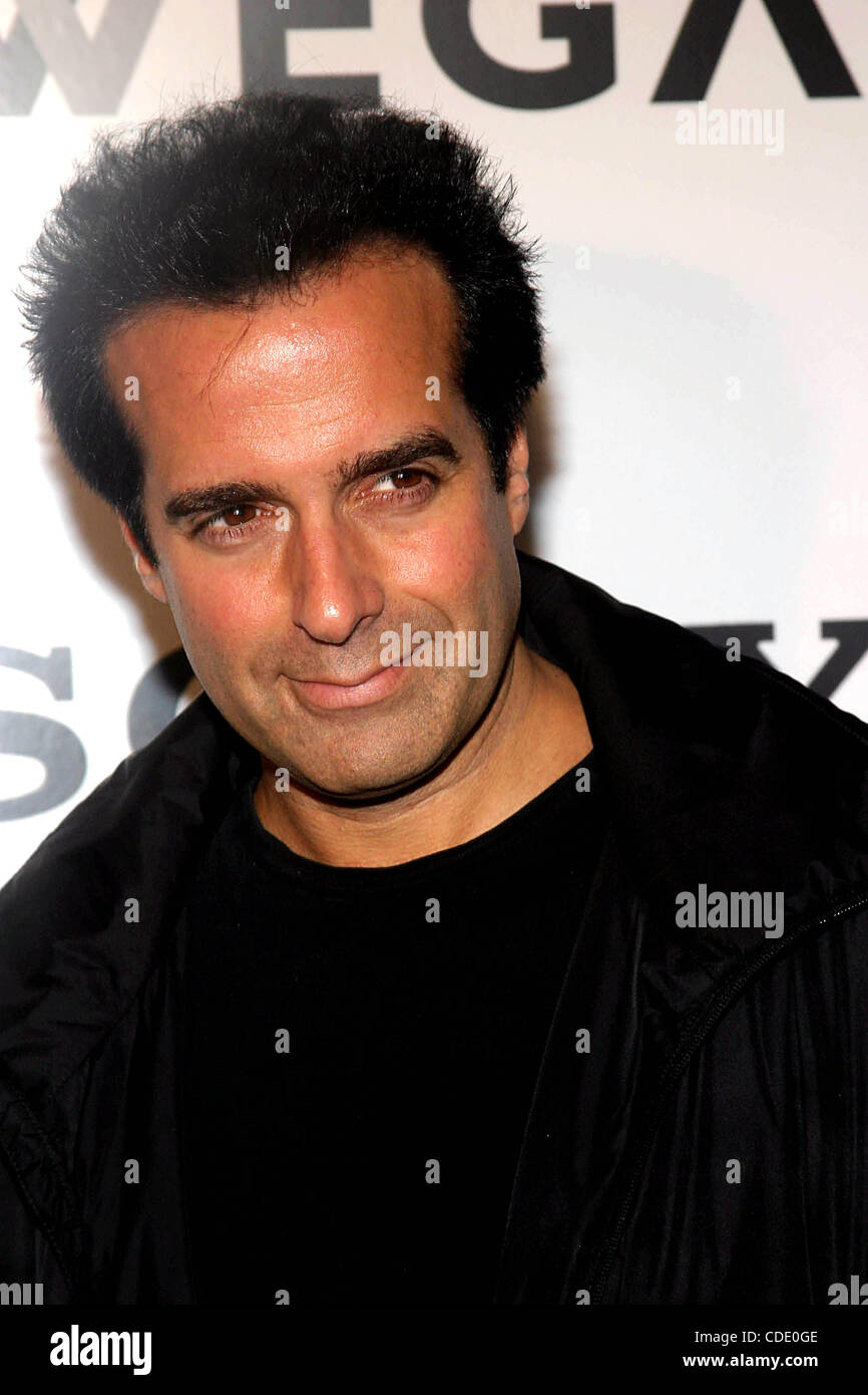 1 janvier, 2011 - New York, New York, États-Unis - K33999RM.SONY CÉLÈBRE LE CINQUIÈME ANNIVERSAIRE DE LA FD Trinitron® WEGA® PLAT ET DÉVOILE LE PLUS GRAND ÉCRAN PLAT HAUTE DÉFINITION À ÉCRAN LCD AU SPLASH LIGHT STUDIOS , NYC 11/06/2003. / DAVID COPPERFIELD(Image Crédit : Â© Rick Mackler/Globe Photos/ZUMAPRESS.com Banque D'Images