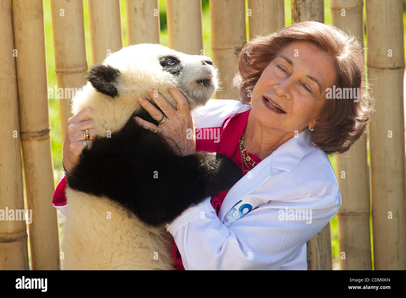 La Reine Sofia espagnol visitez la zone d'alevinage pour les pandas et jouer avec les ours, Po et Dede, au Zoo Aquarium de Madrid Banque D'Images