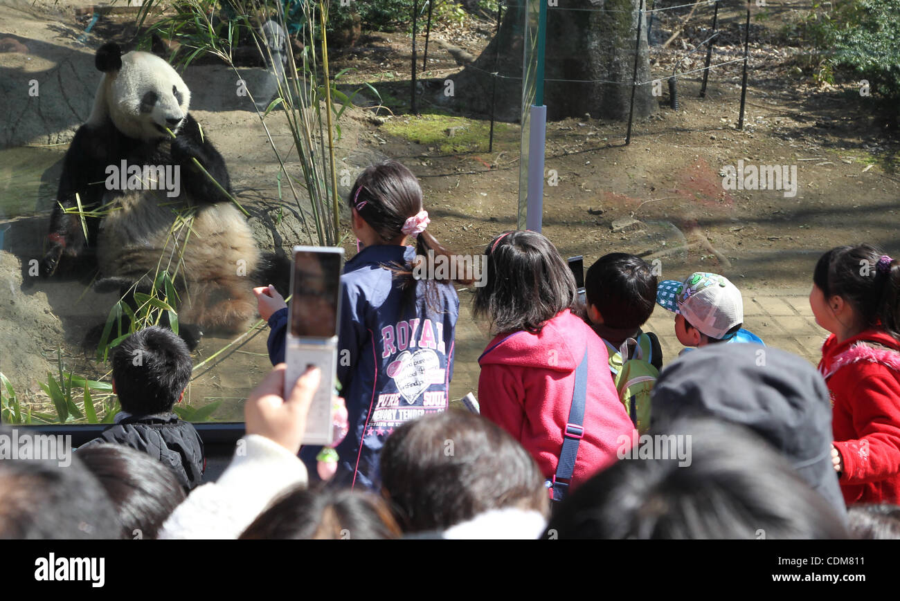 Le 1er avril 2011 - Tokyo, Japon - Shin Shin, une femelle panda qui est venu de la Chine est ouverte au public pour la première fois au Zoo de Ueno à Tokyo, Japon. Deux pandas de Chine a fait une apparition au zoo. (Crédit Image : © Junko Kimura/Jana Press/ZUMAPRESS.com) Banque D'Images