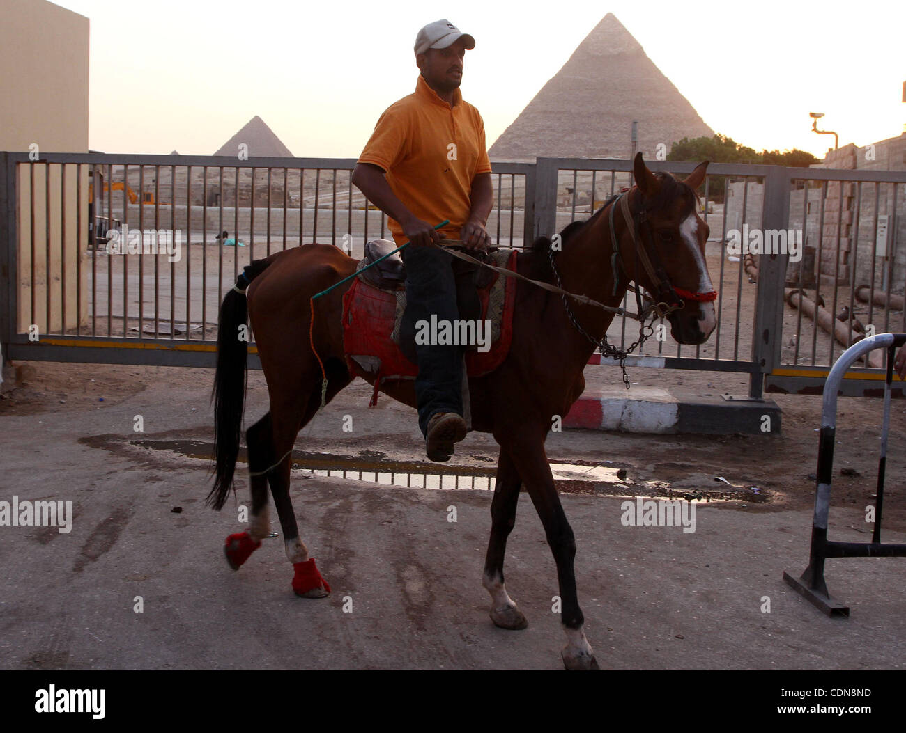 Les touristes étrangers monter à cheval près de pyramides de Gizeh à la périphérie du Caire, capitale de l'Égypte. Dans cette photo prise le 11 mai 2011. Photo par Ashraf Amra Banque D'Images