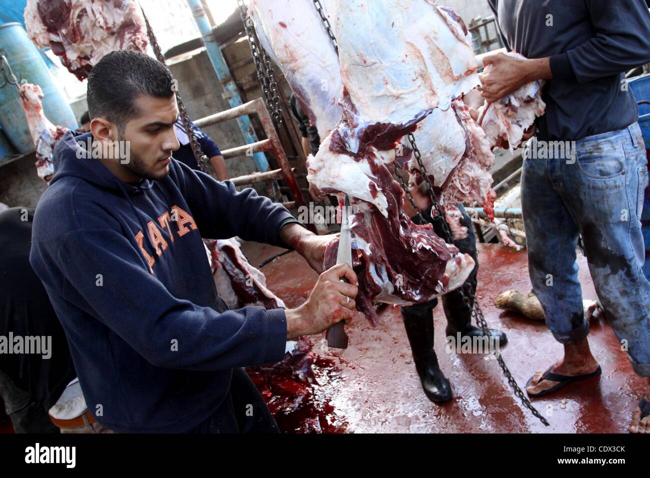 6 novembre 2011 - La ville de Gaza, bande de Gaza, territoire palestinien - Palestiniens abattre leur bétail sur le premier jour de l'Aïd al-Adha, dans la ville de Gaza, le dimanche, Novembre 6, 2011. Les musulmans du monde entier célèbrent l'Aïd al-Adha, ou Fête du Sacrifice par meurtres sacrificiels de l'élevage à commémorer une religi Banque D'Images