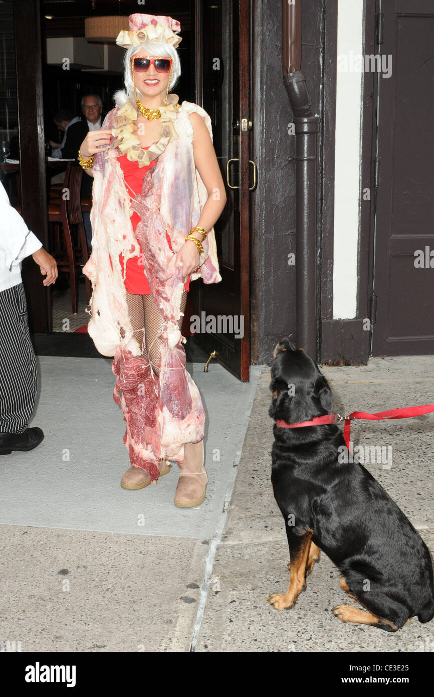 Une note de chien prend avis de mod le Mery Lopez affiche une Lady