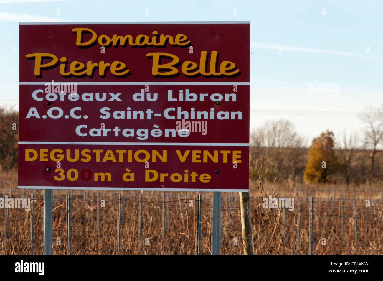 Signer pour Le Domaine Pierre Belle producteurs de vins en Languedoc, dans le sud de la France. Banque D'Images