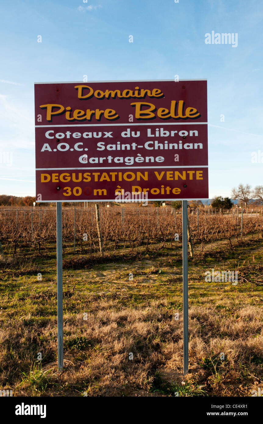 Signer pour Le Domaine Pierre Belle producteurs de vins en Languedoc, dans le sud de la France. Banque D'Images