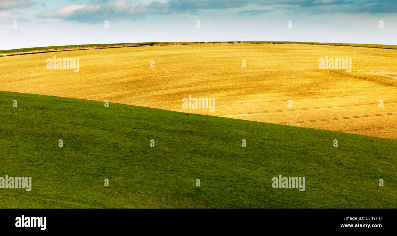 Le matériel roulant de la campagne anglaise dans le parc national des South Downs, près de Pyecombe, East Sussex Banque D'Images