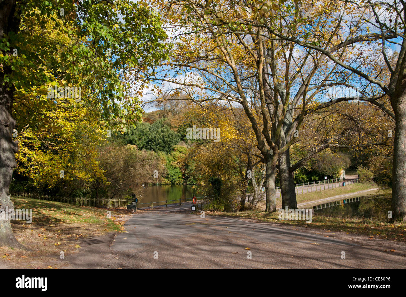 Londres, Hampstead Heath, extrémité sud des étangs dans l'automne. Banque D'Images