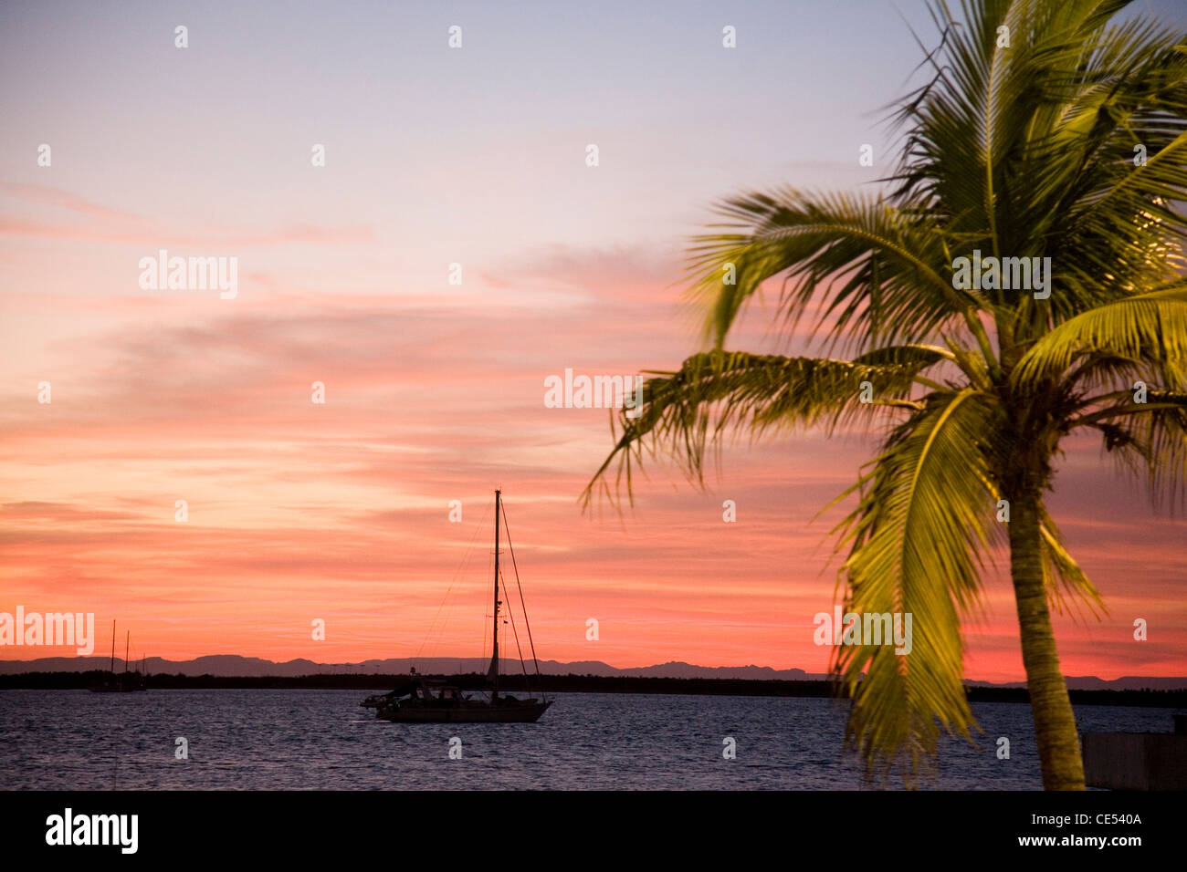 Mexique coucher du soleil palmier voile yacht mer ciel été paysage rouge Banque D'Images