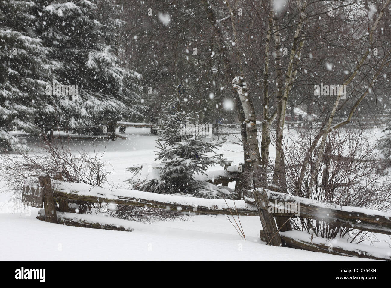 La neige qui tombe en hiver un cadre rural au Québec, Canada Banque D'Images