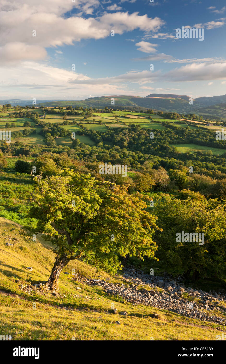 La campagne entourant la vallée de l''Usk, parc national de Brecon Beacons, Powys, Pays de Galles. L'été (août) 2011. Banque D'Images