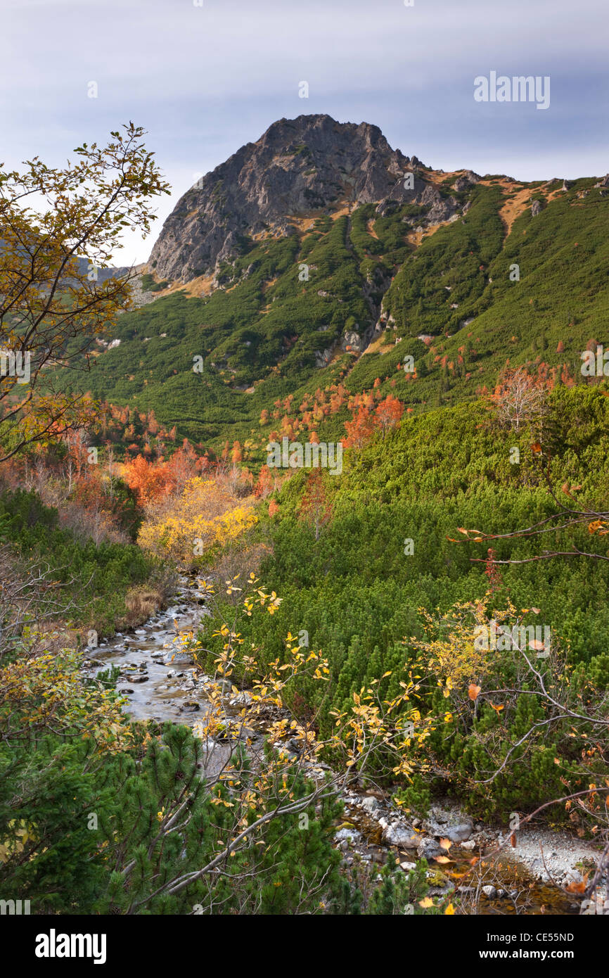 L'automne dans les montagnes des Hautes Tatras, en Slovaquie, en Europe. L'automne (octobre) 2011. Banque D'Images