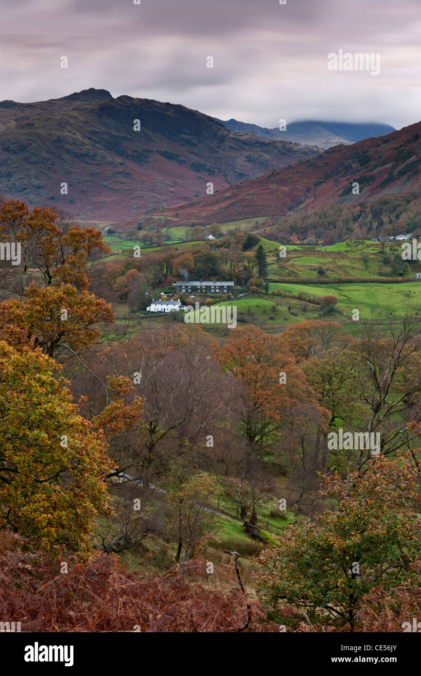 Chalets dans la vallée de Little Langdale, Lake District, Cumbria, Angleterre. L'automne (novembre) 2011. Banque D'Images