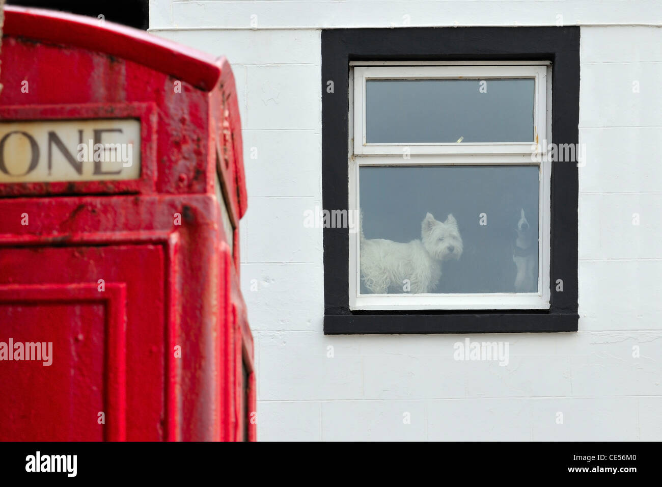 Le téléphone rouge fort que 'featured' dans le film "Local Hero", Pennan, Aberdeenshire, Scotland Banque D'Images