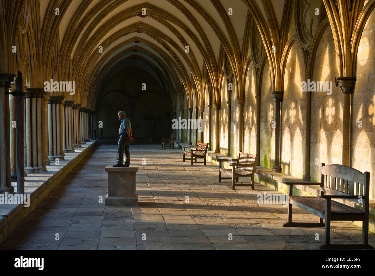 Le cloître de la cathédrale de Salisbury de Salisbury, Wiltshire, Angleterre, Royaume-Uni. La statue est par Sean Henry. Banque D'Images
