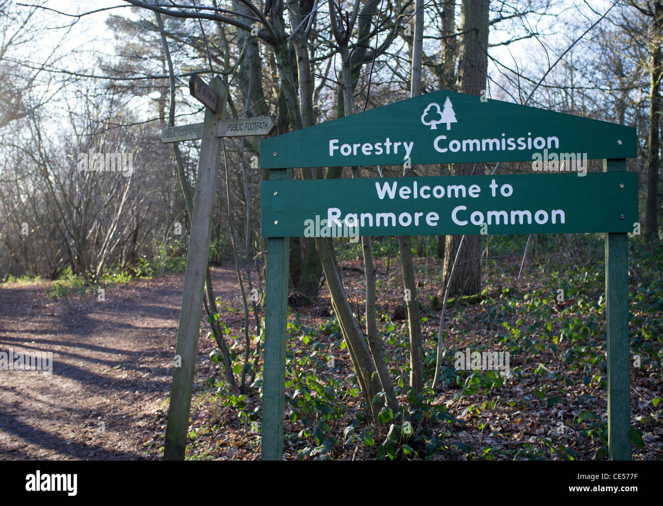 Commission forestière panneau à l'entrée de l'avenue de brebis sur Ranmore Common, Surrey Banque D'Images