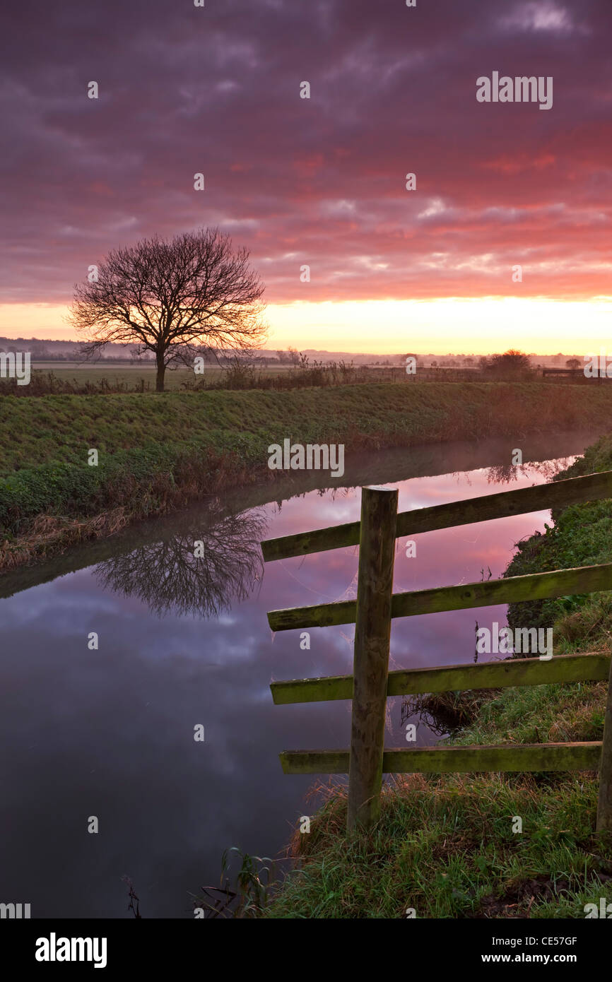 Les niveaux de Somerset le lever du soleil sur la rivière Brue près de Glastonbury, Somerset, Angleterre. L'automne (novembre) 2011. Banque D'Images